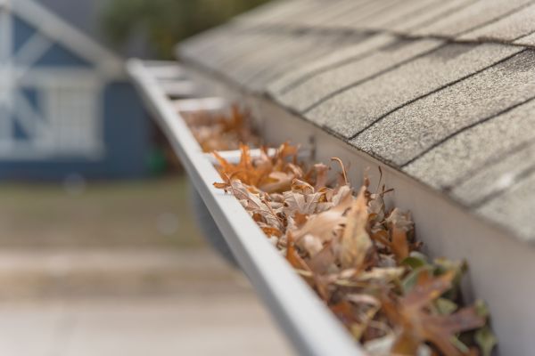 Leaf Barrier Installation in Woodbridge